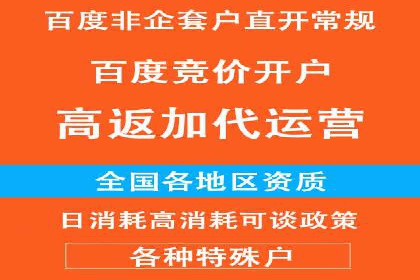 成功案例：SEM推广助力企业拓展海外市场